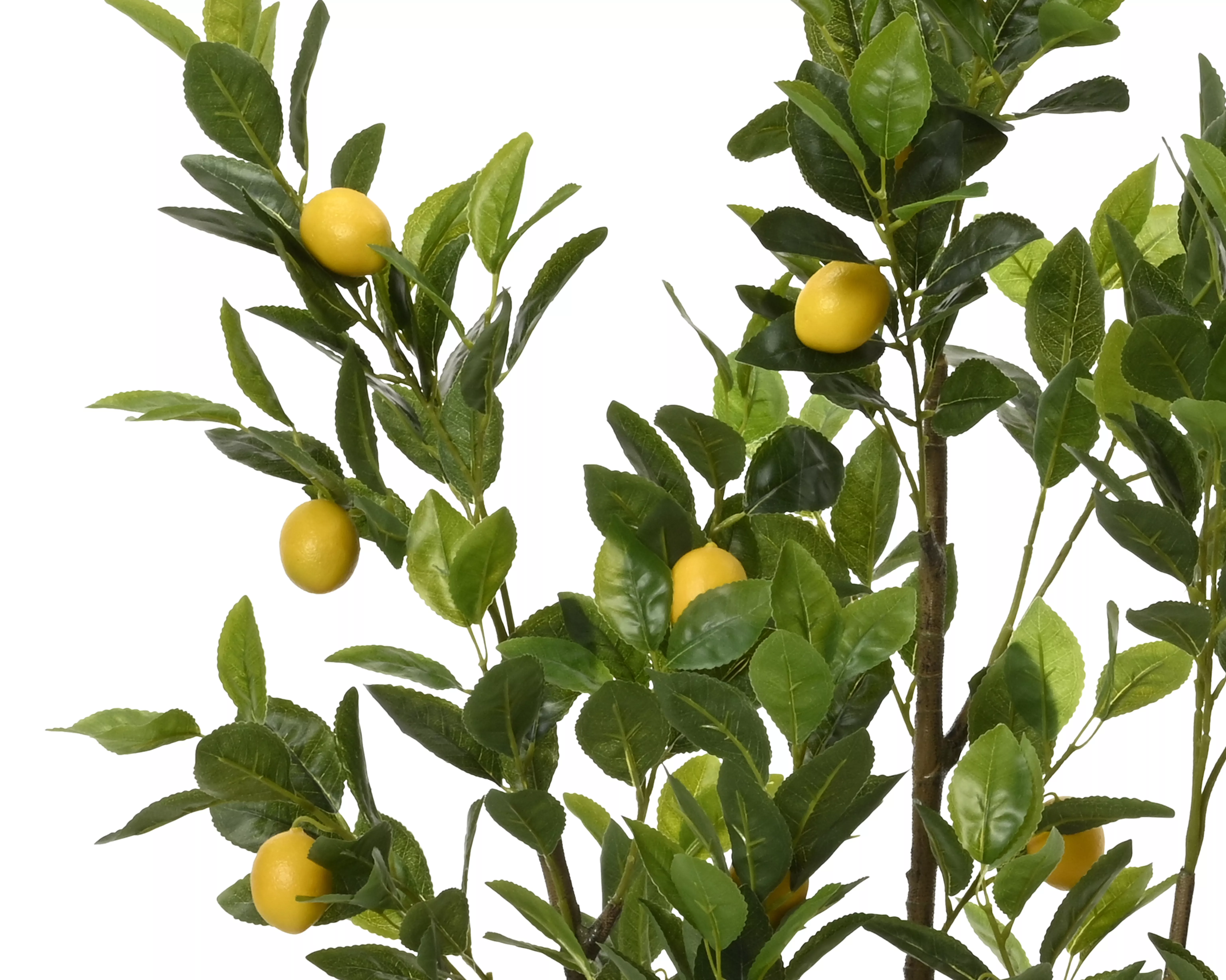 Citronnier artificiel DEKO