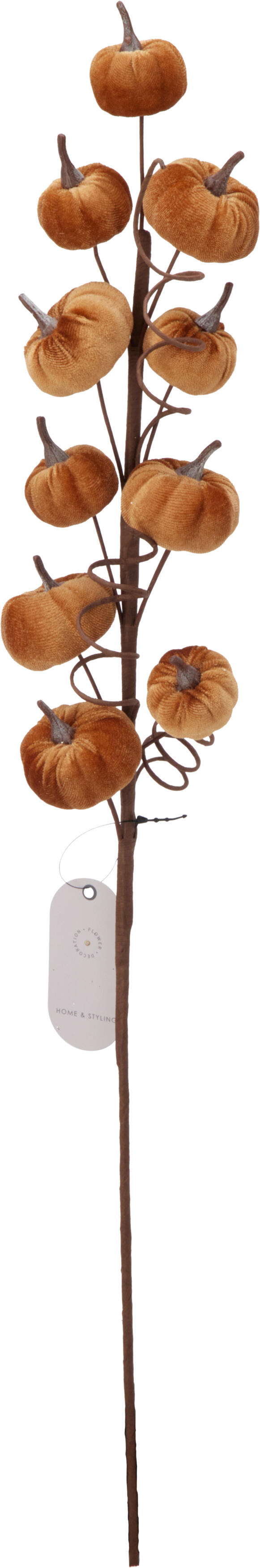Branche d'automne feuilles HERBST