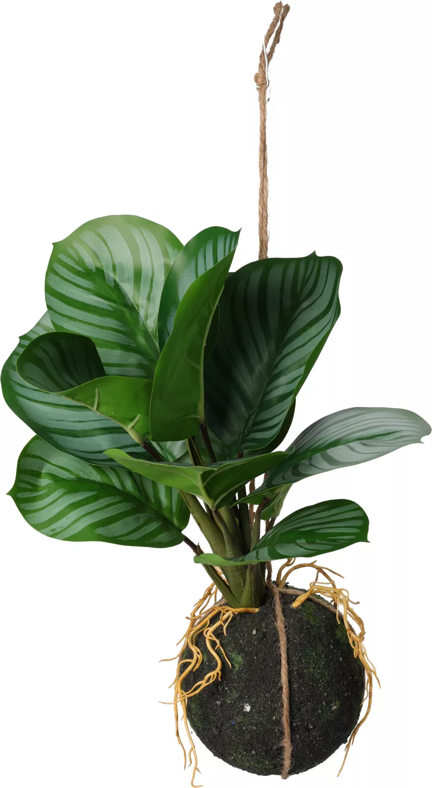 Plante à suspendre 30cm BOTANIC