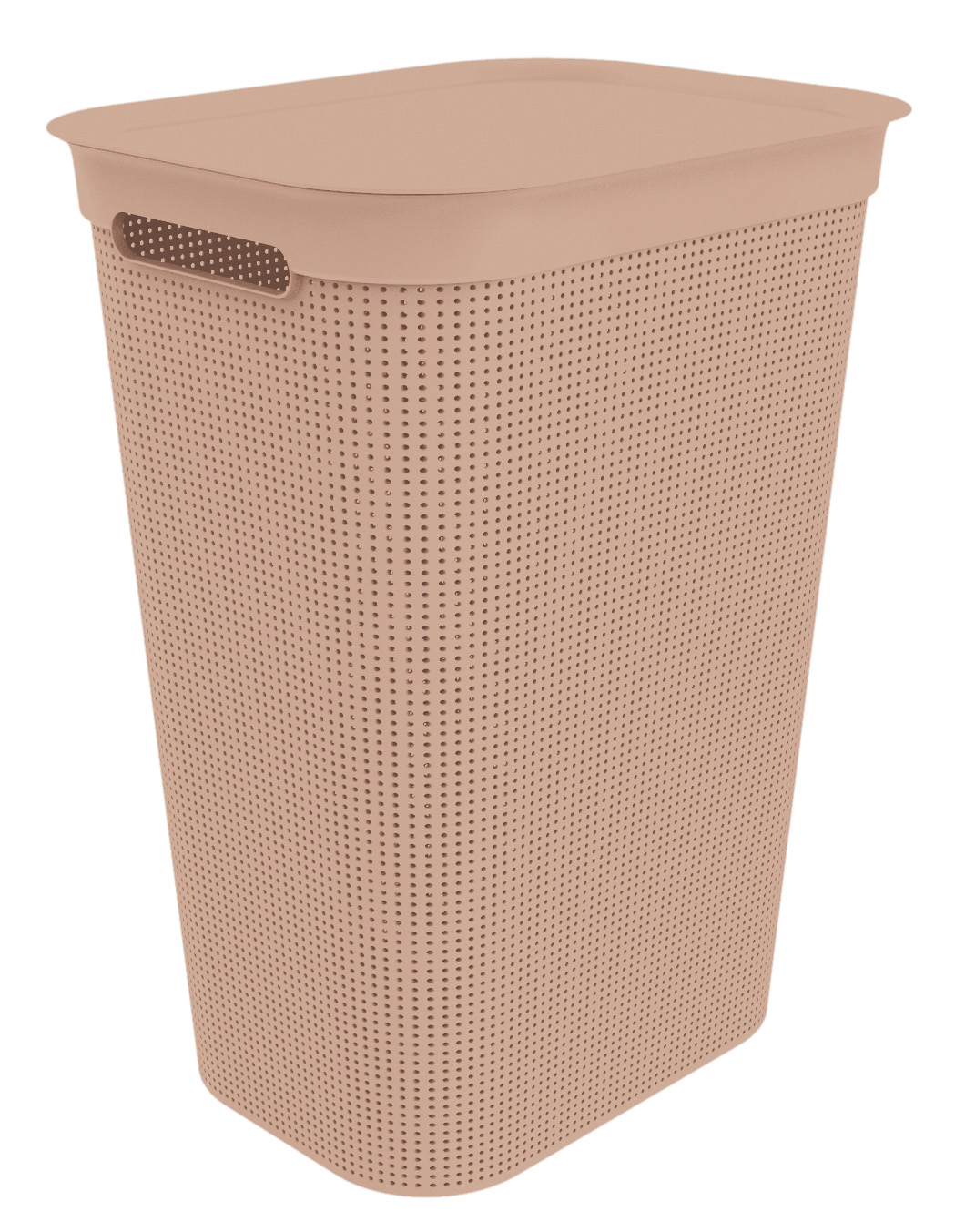Panier à linge 50 litres BRISEN