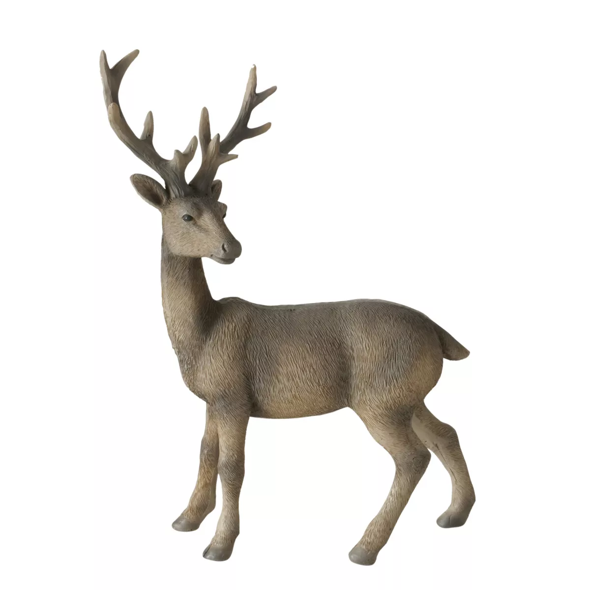 Cerf TOBIN