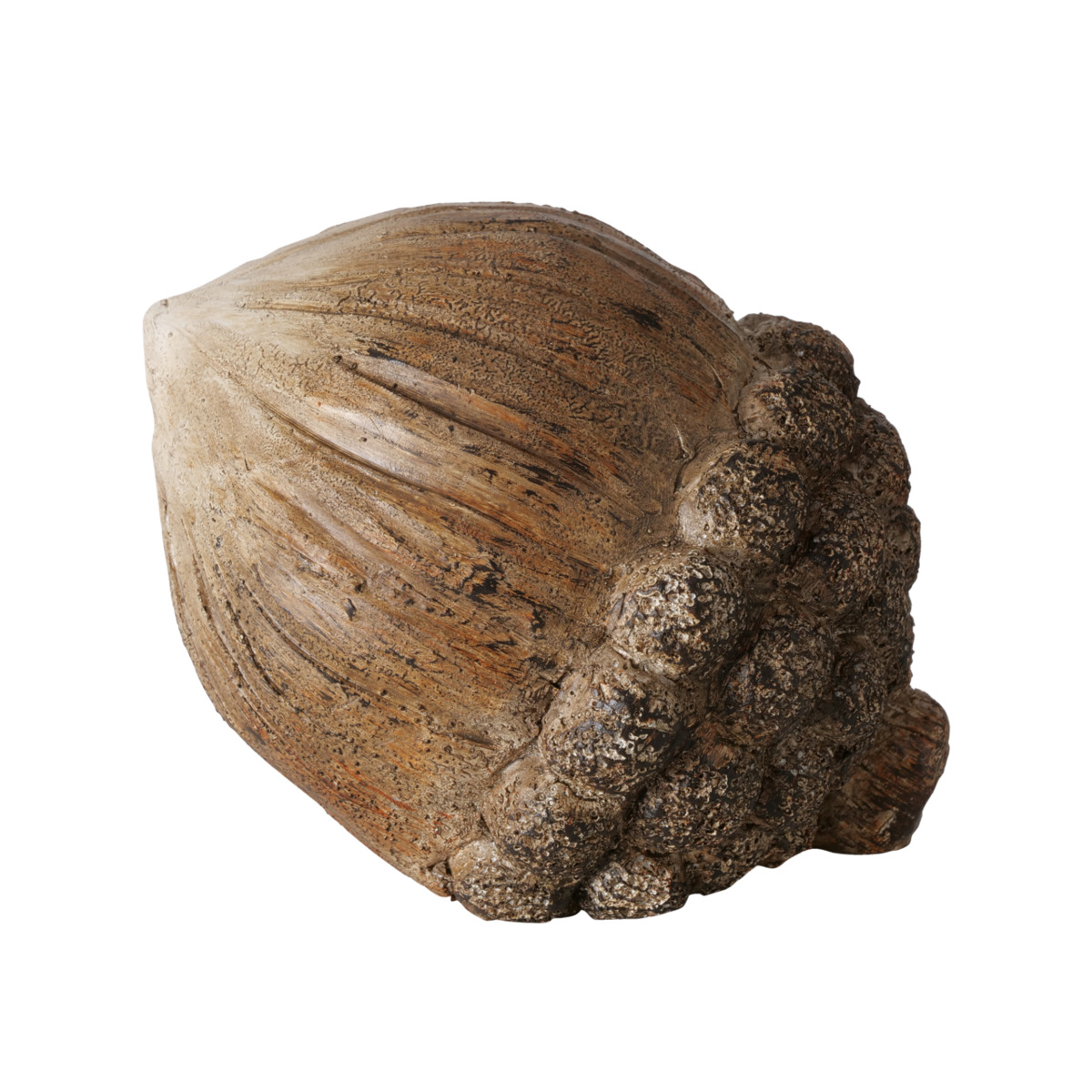 Déco pomme de pin EYLA