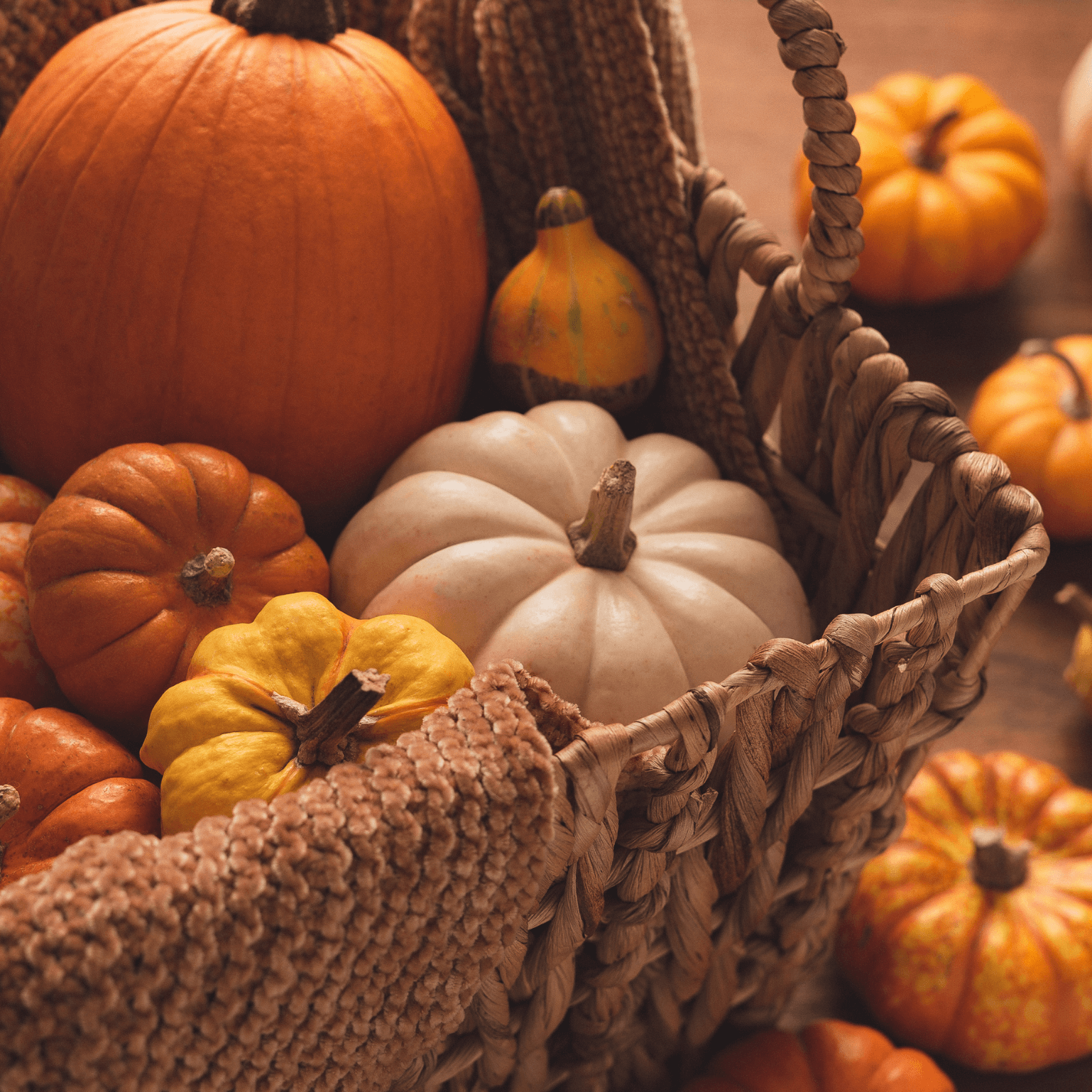 Herbstlich dekorieren