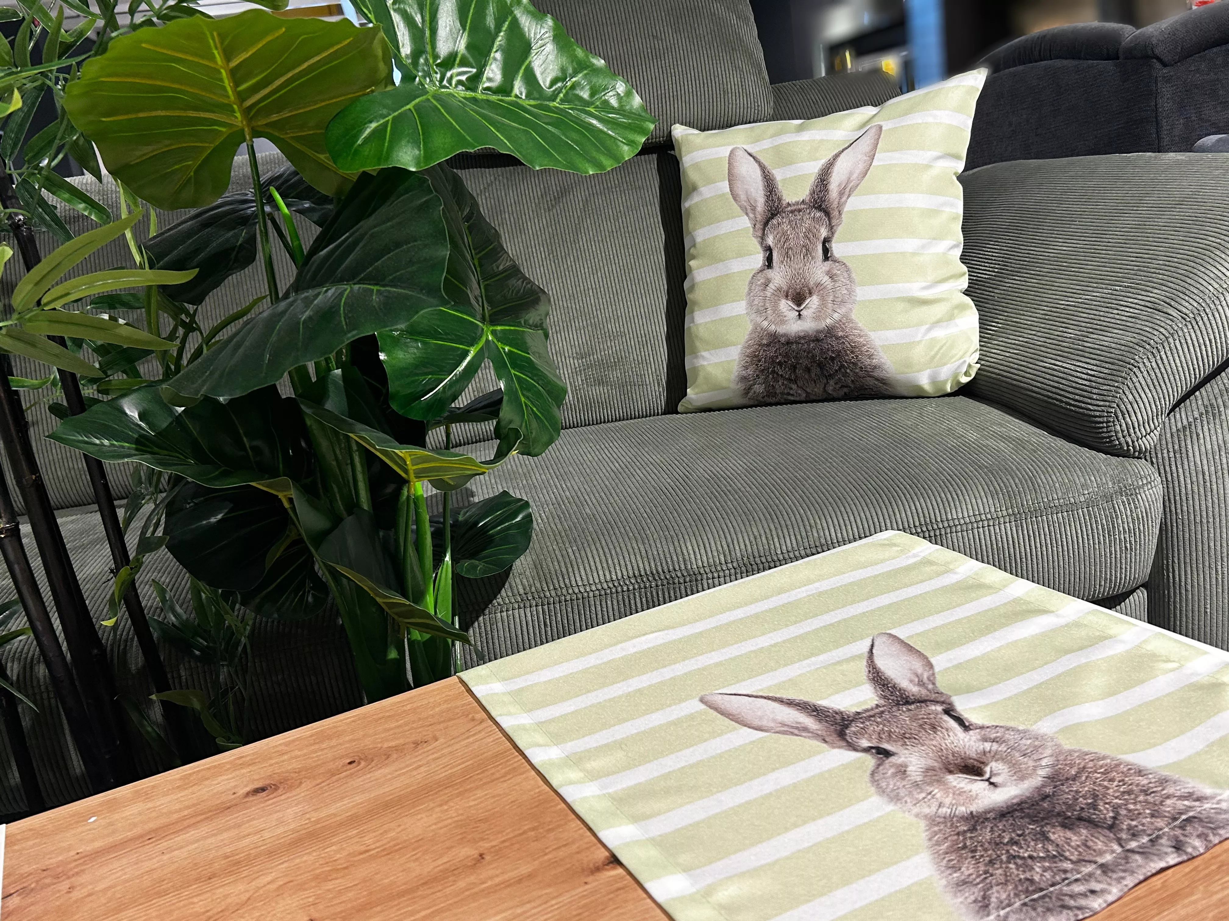 Coussin ROGER