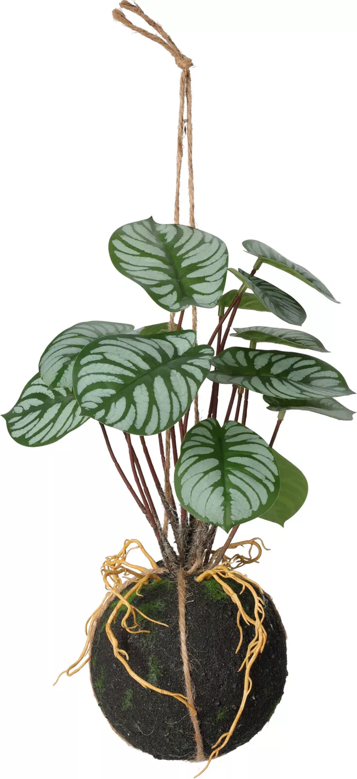 Plante à suspendre 30cm BOTANIC