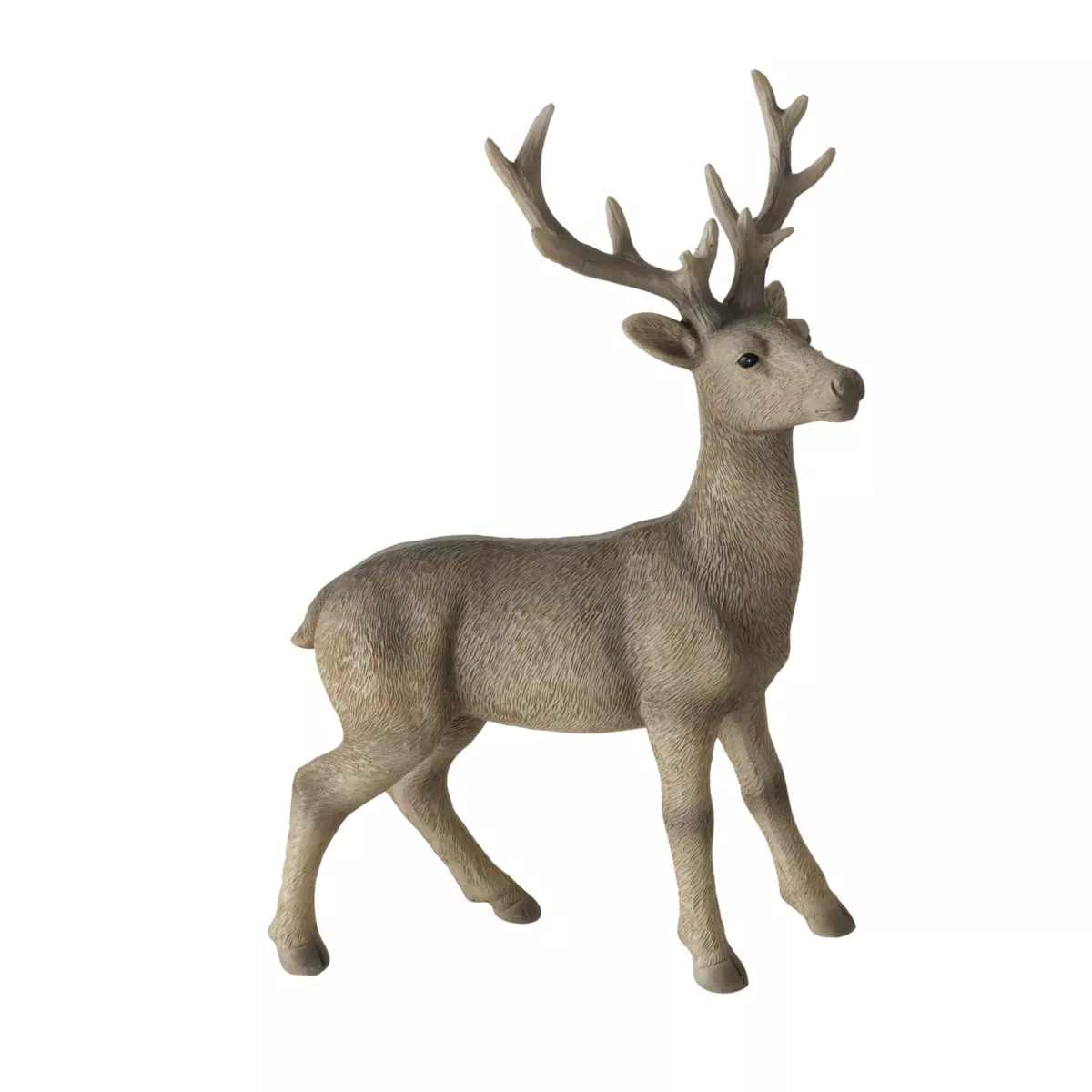 Cerf TOBIN