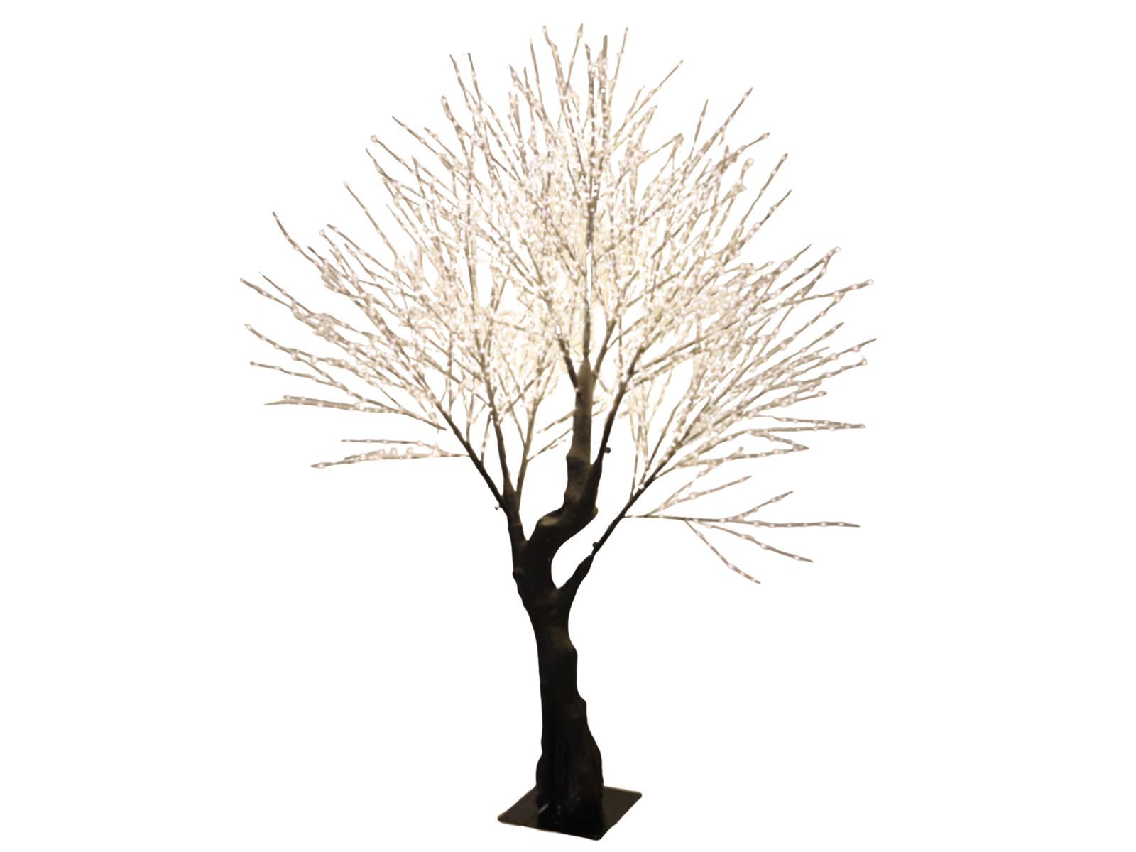 Arbre avec plus de 3000 LED FLASH
