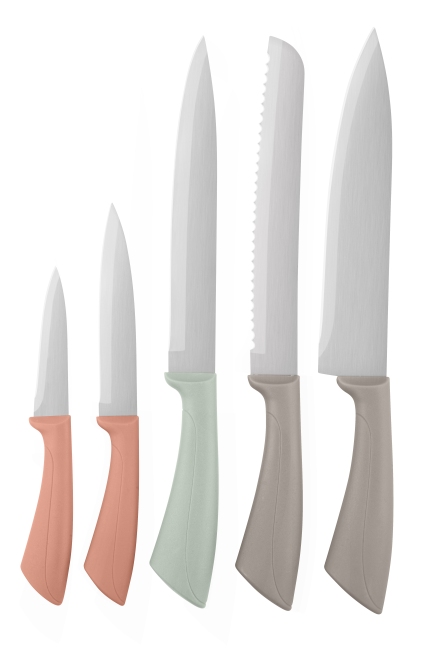 Lot de 5 couteaux DAY