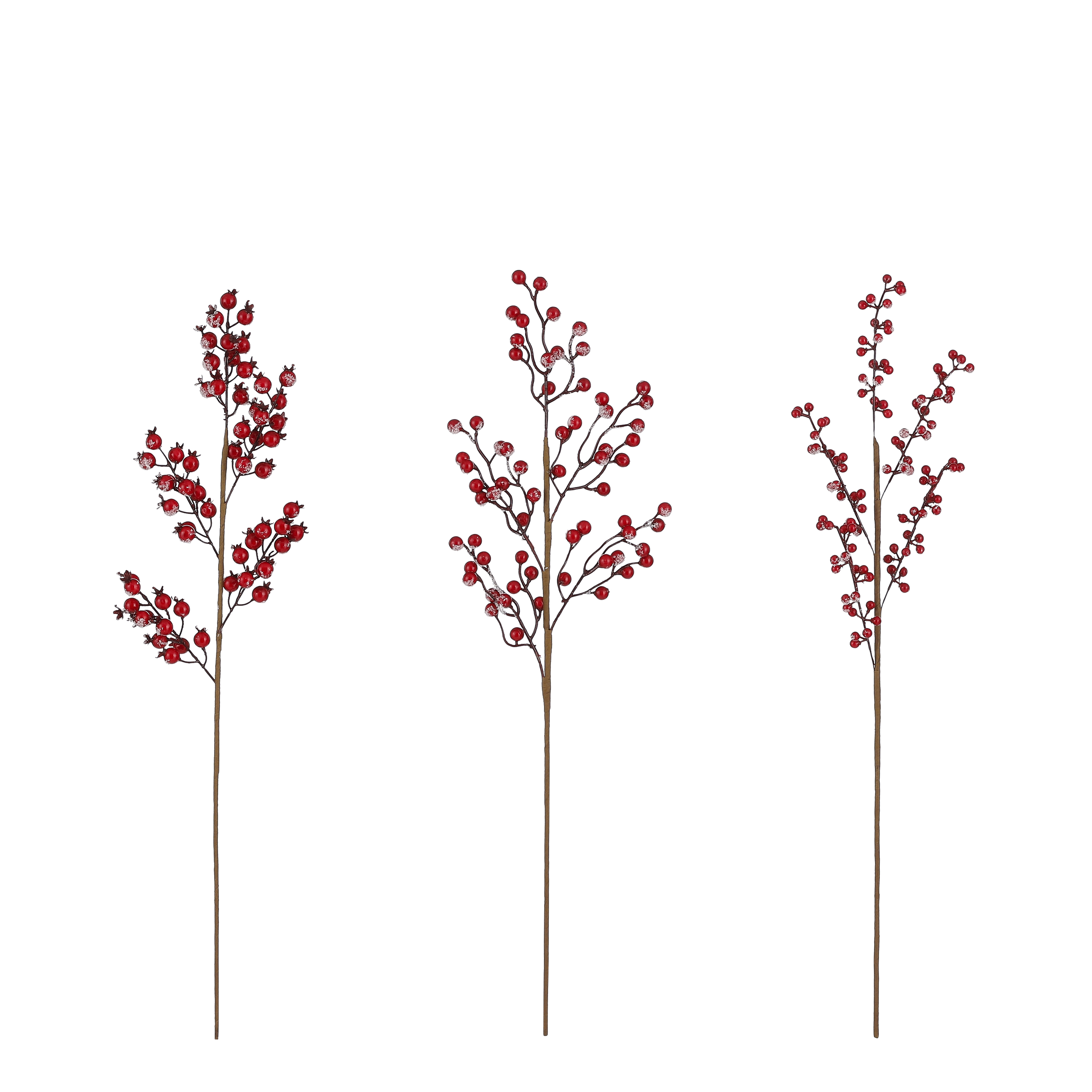 Branche décorative BEERE