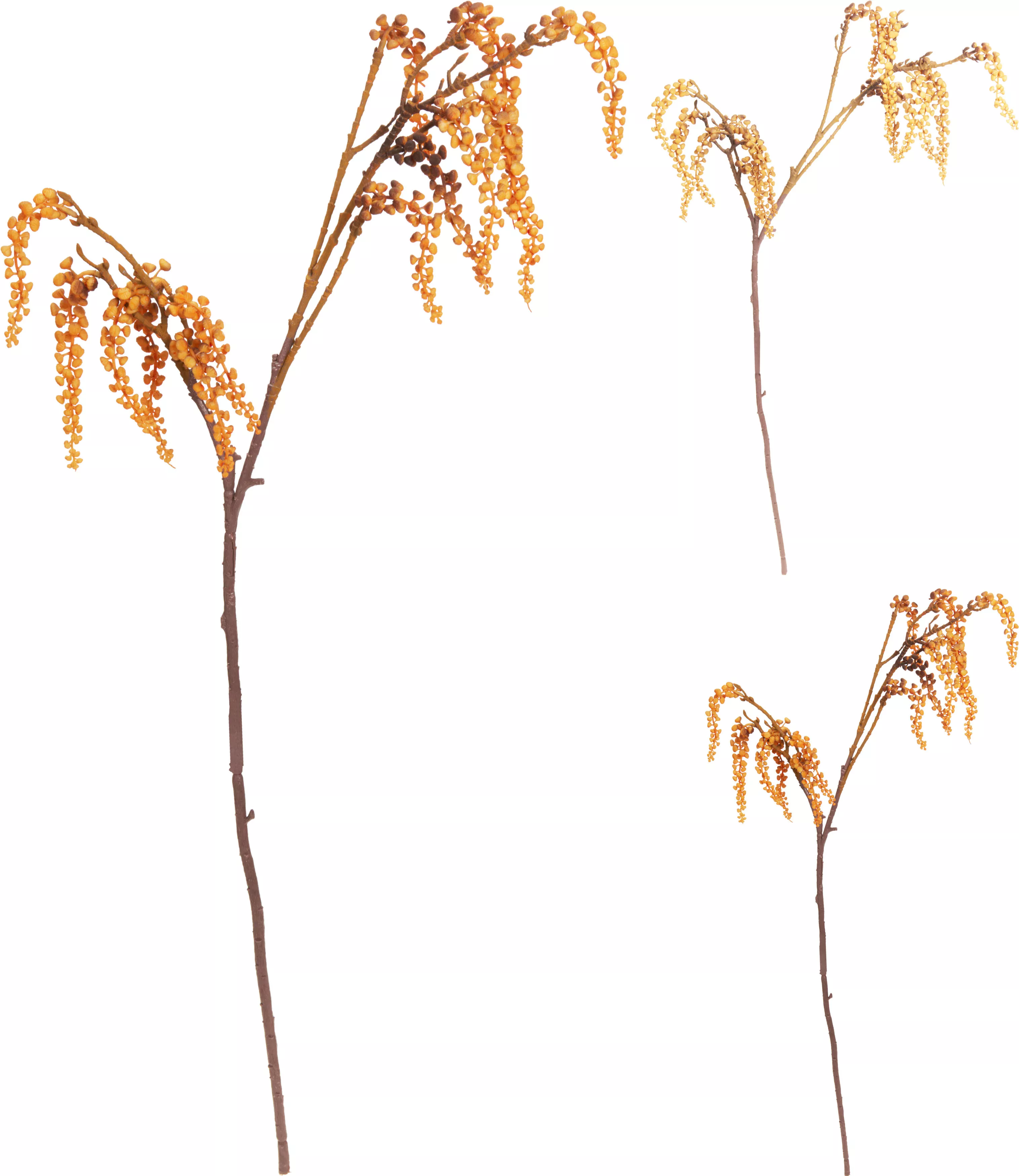 Branche d’automne HERBST