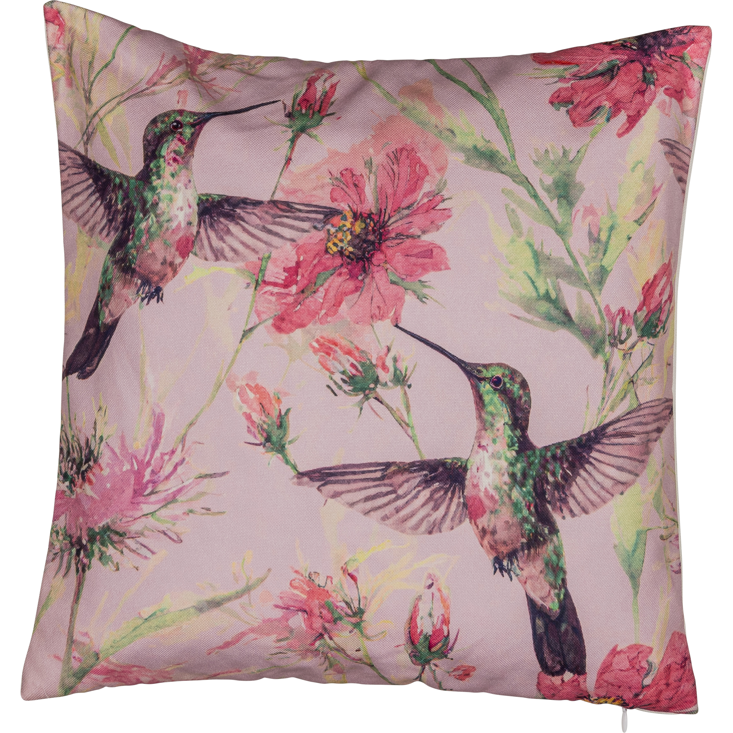 Coussin garni colibri INSTYLE