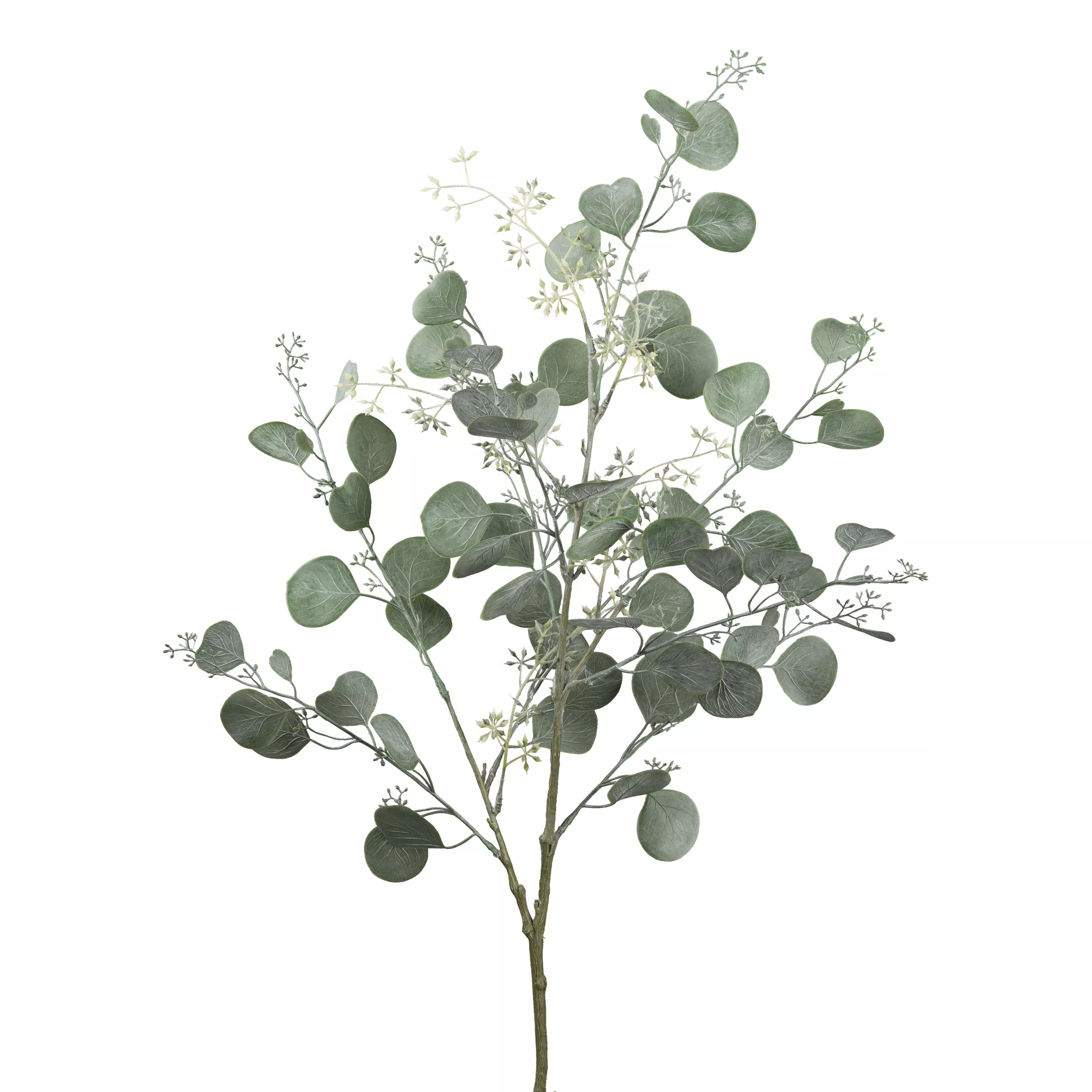 Branche décorative EUKALYPTUSZWEIG