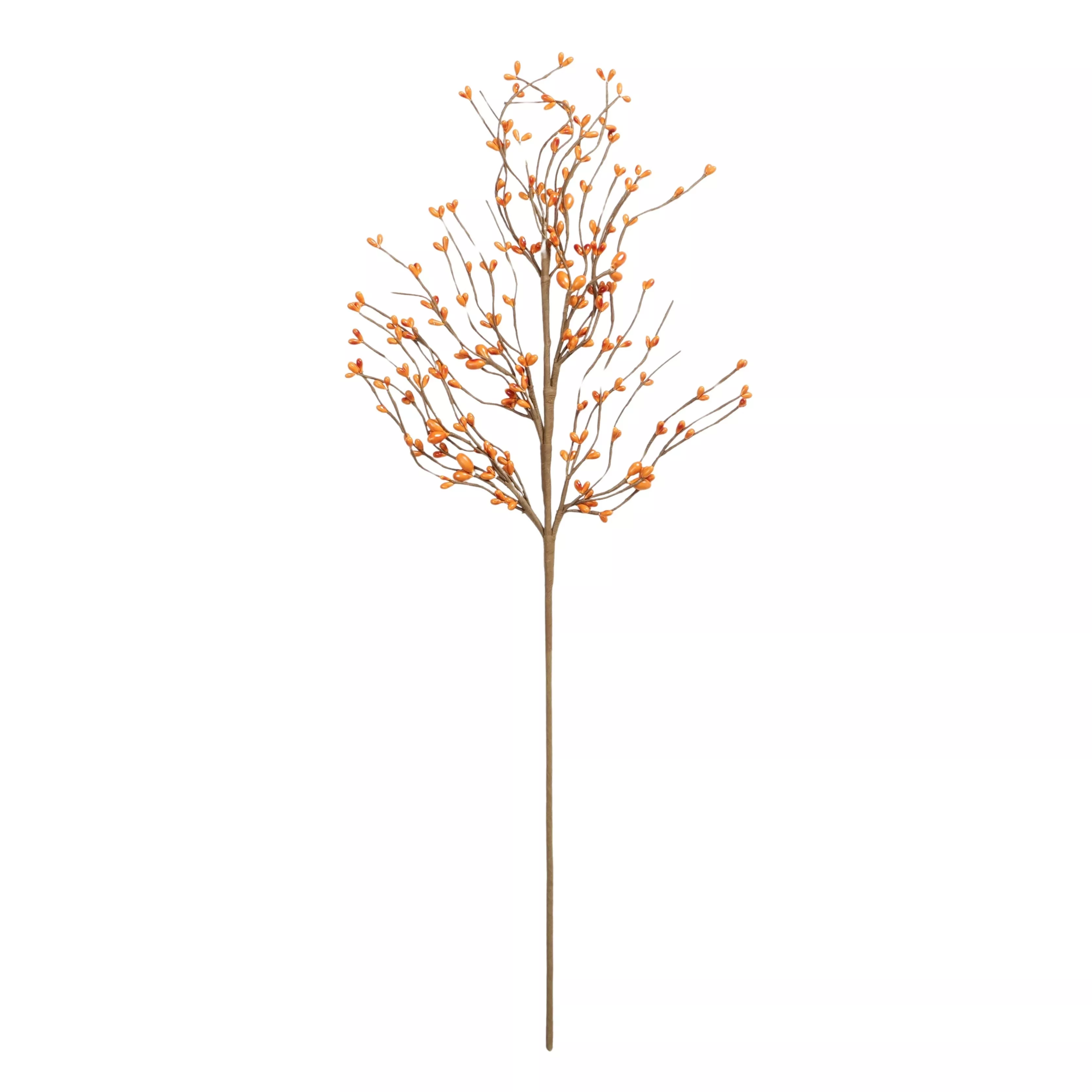 Feuille décorative avec baies OMANO