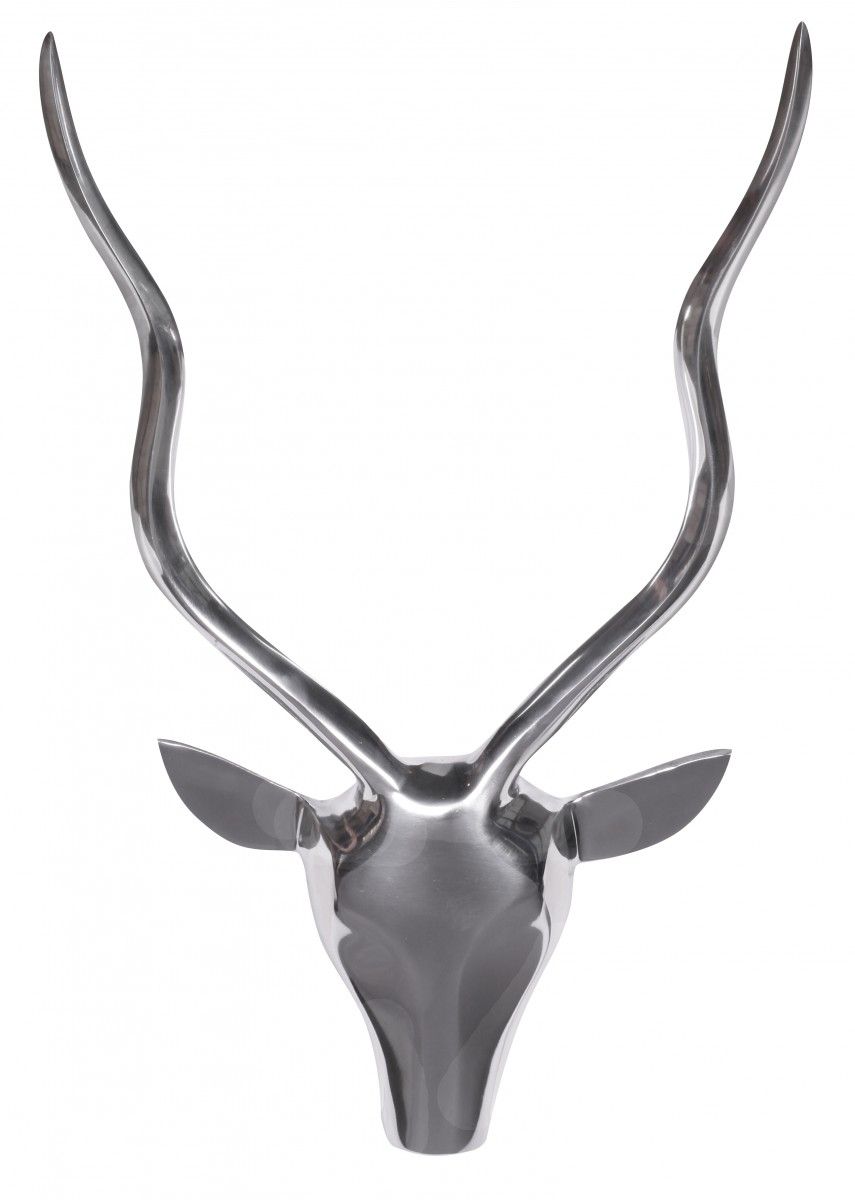 Tête de cerf PHUKET