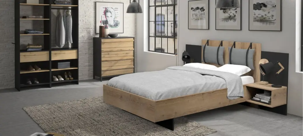 Style d'habitat industriel