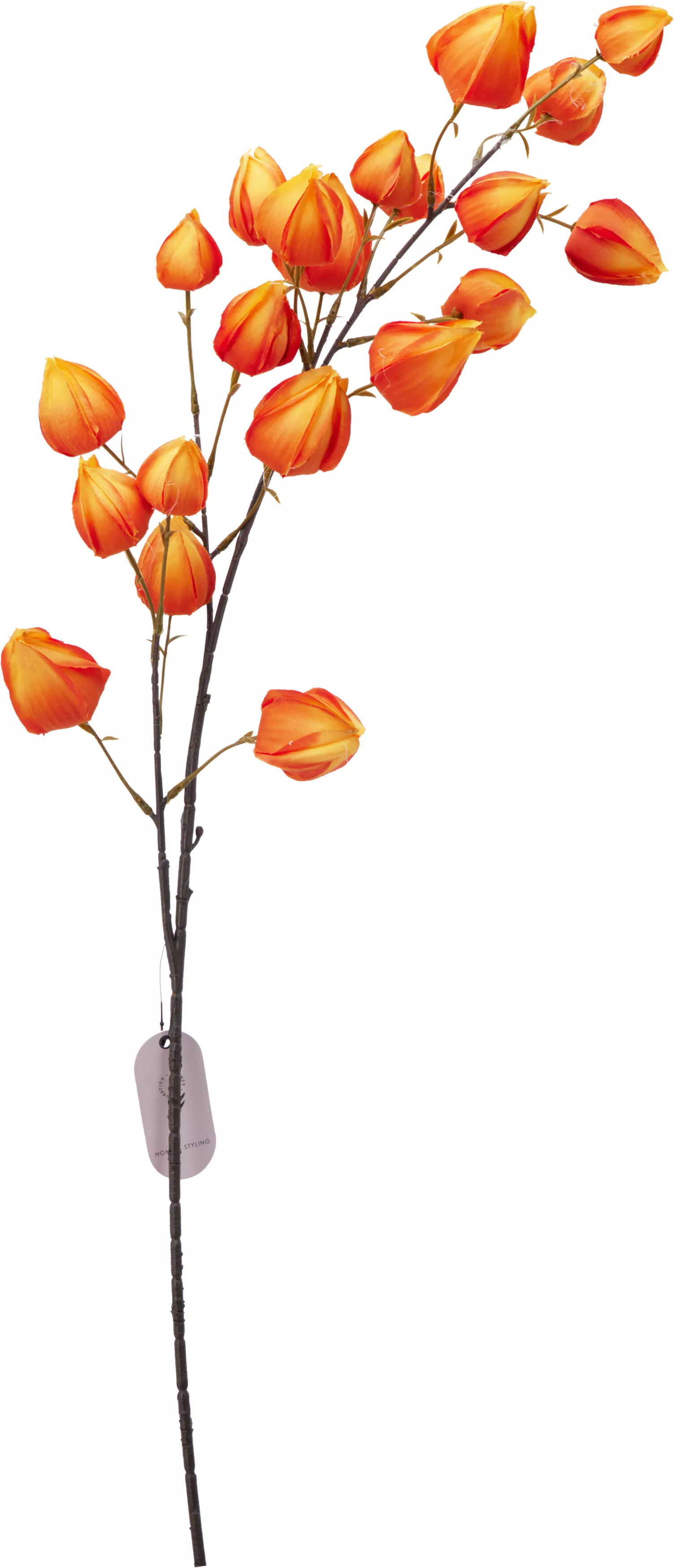 Branche d'automne groseilles à maquereau HERBST