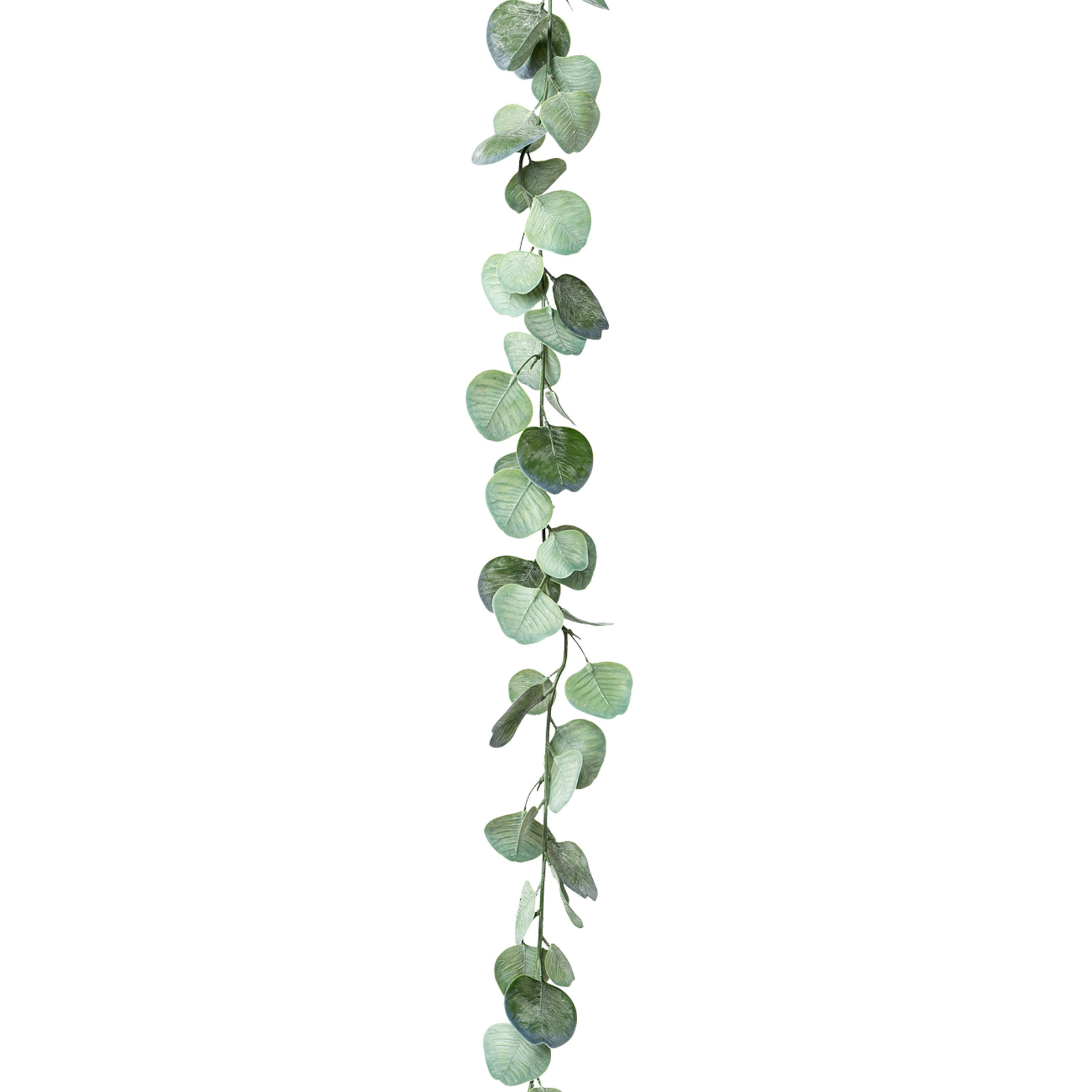 Plante artificielle guirlande eucalyptus  EUKALYPTUS