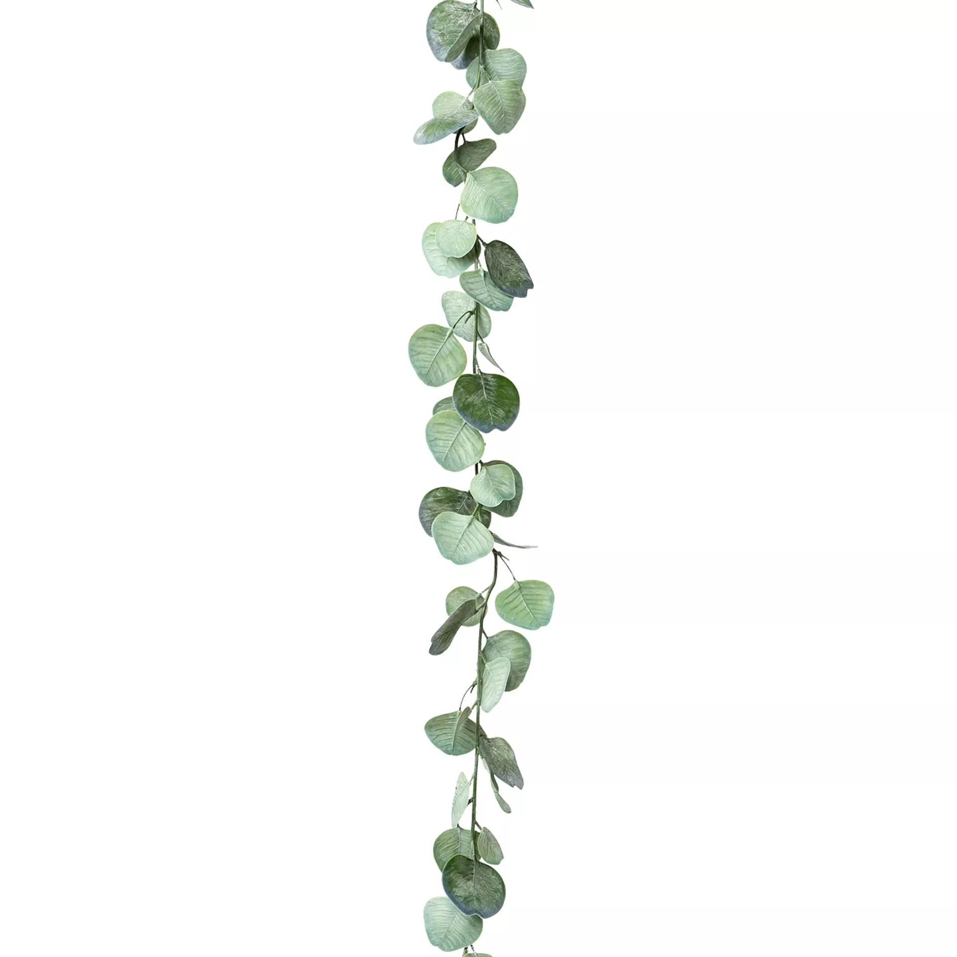 Dekopflanze Eukalyptusgirlande EUKALYPTUS