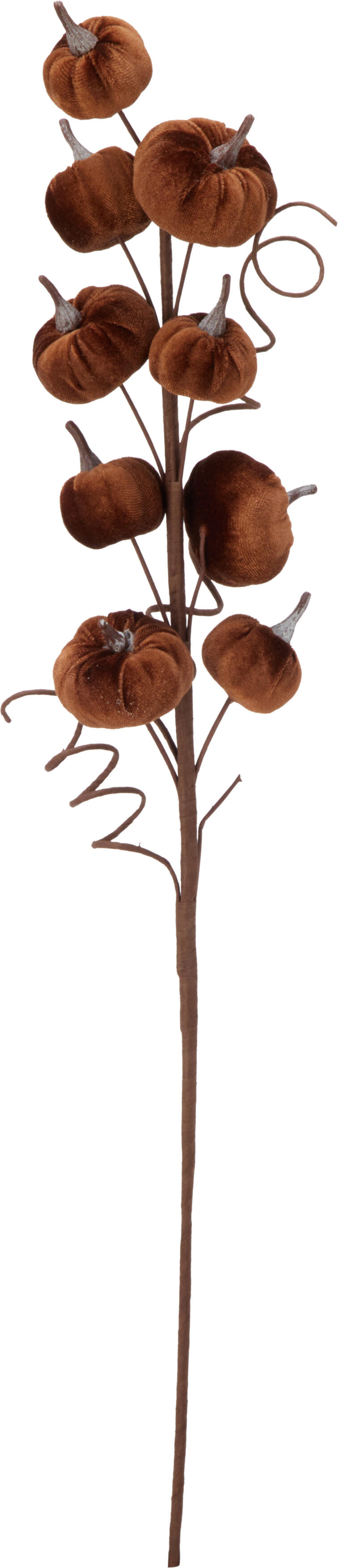 Branche d'automne feuilles HERBST