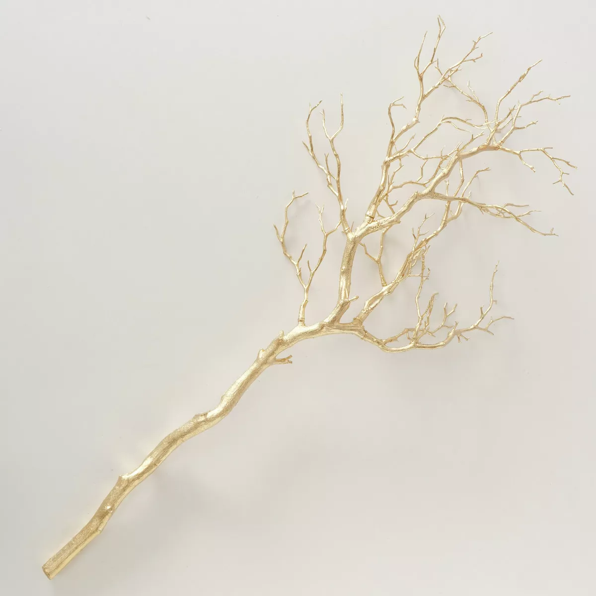 Branche décorative ASTRA