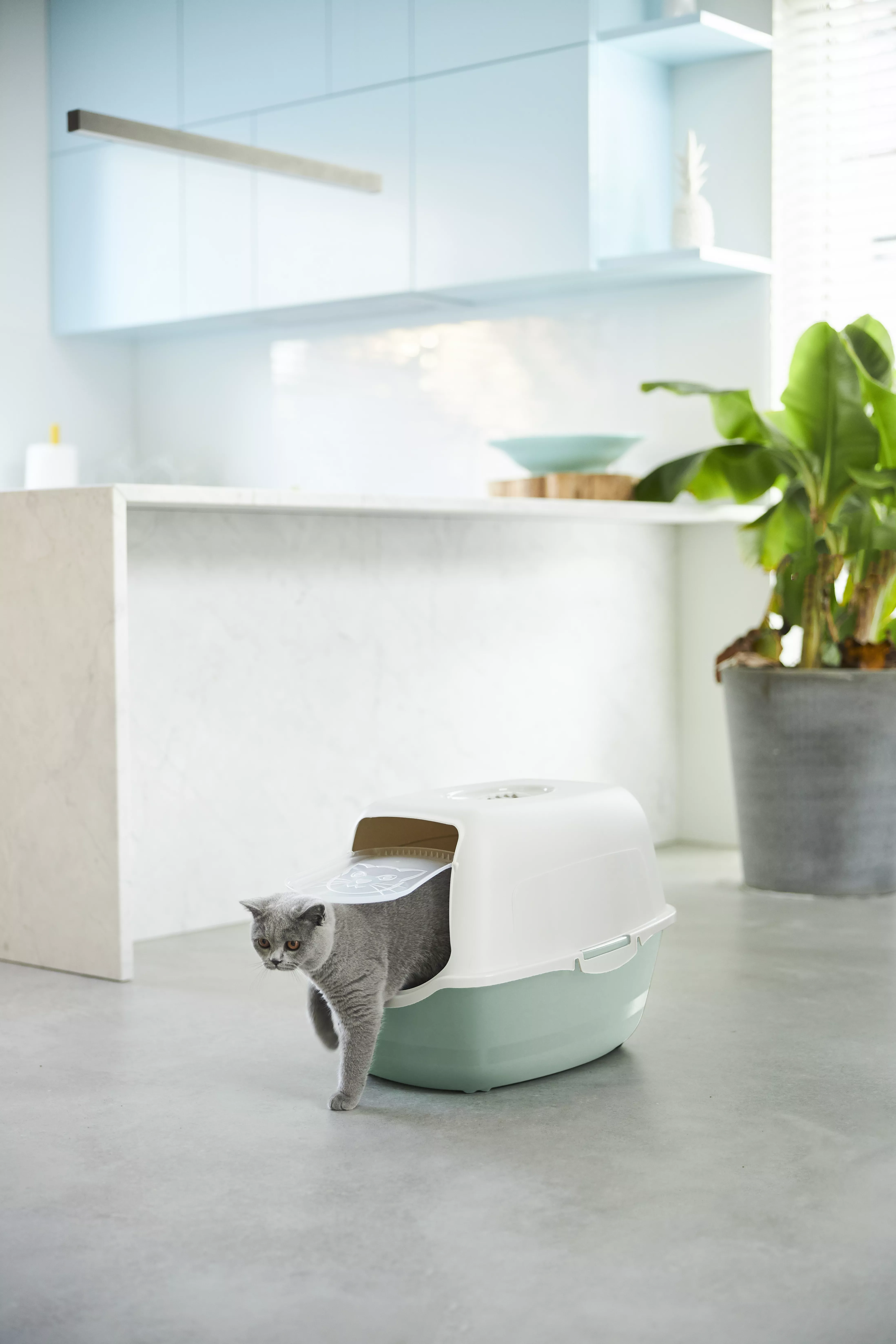 Litière pour chats ECO BAILEY
