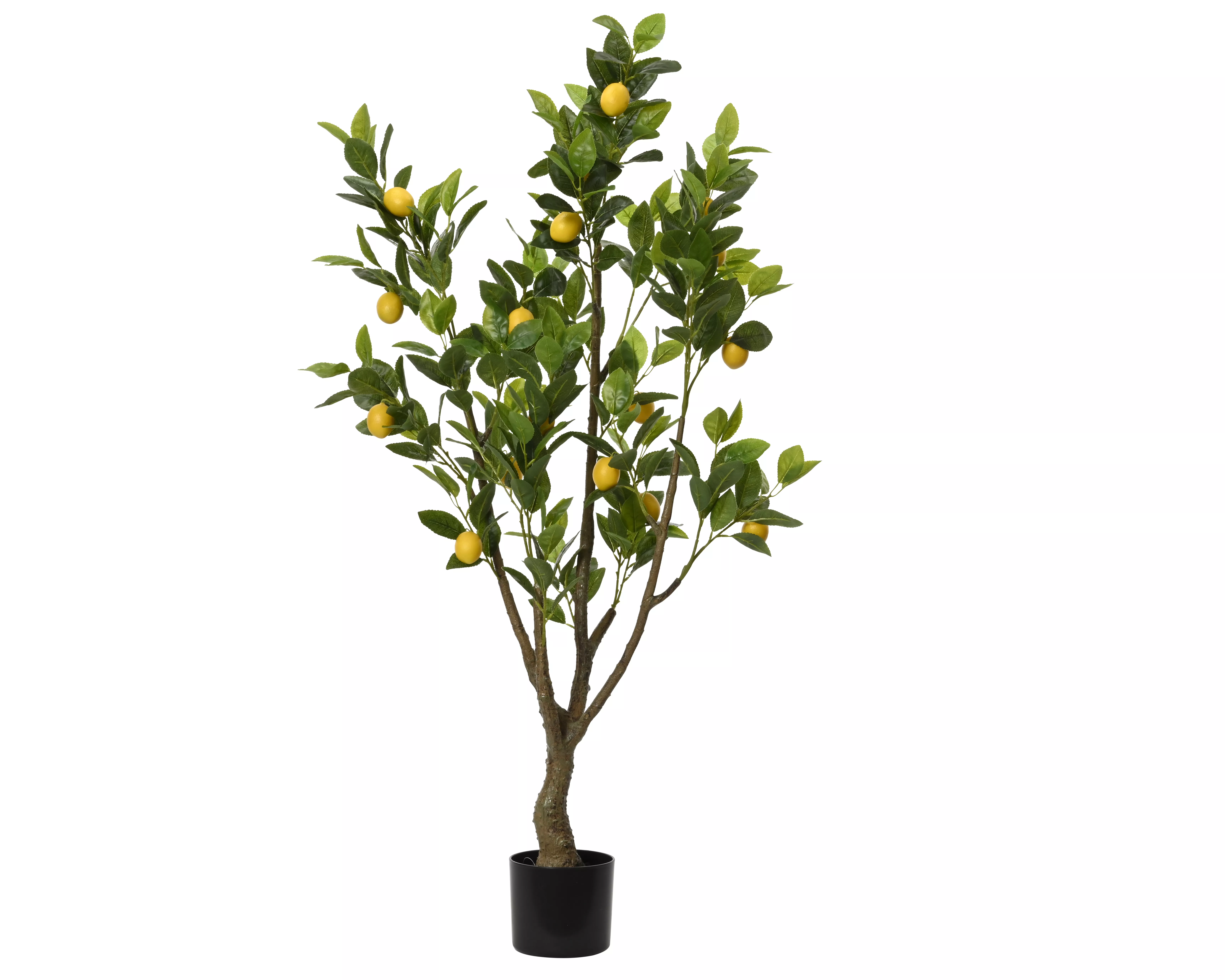 Citronnier artificiel DEKO