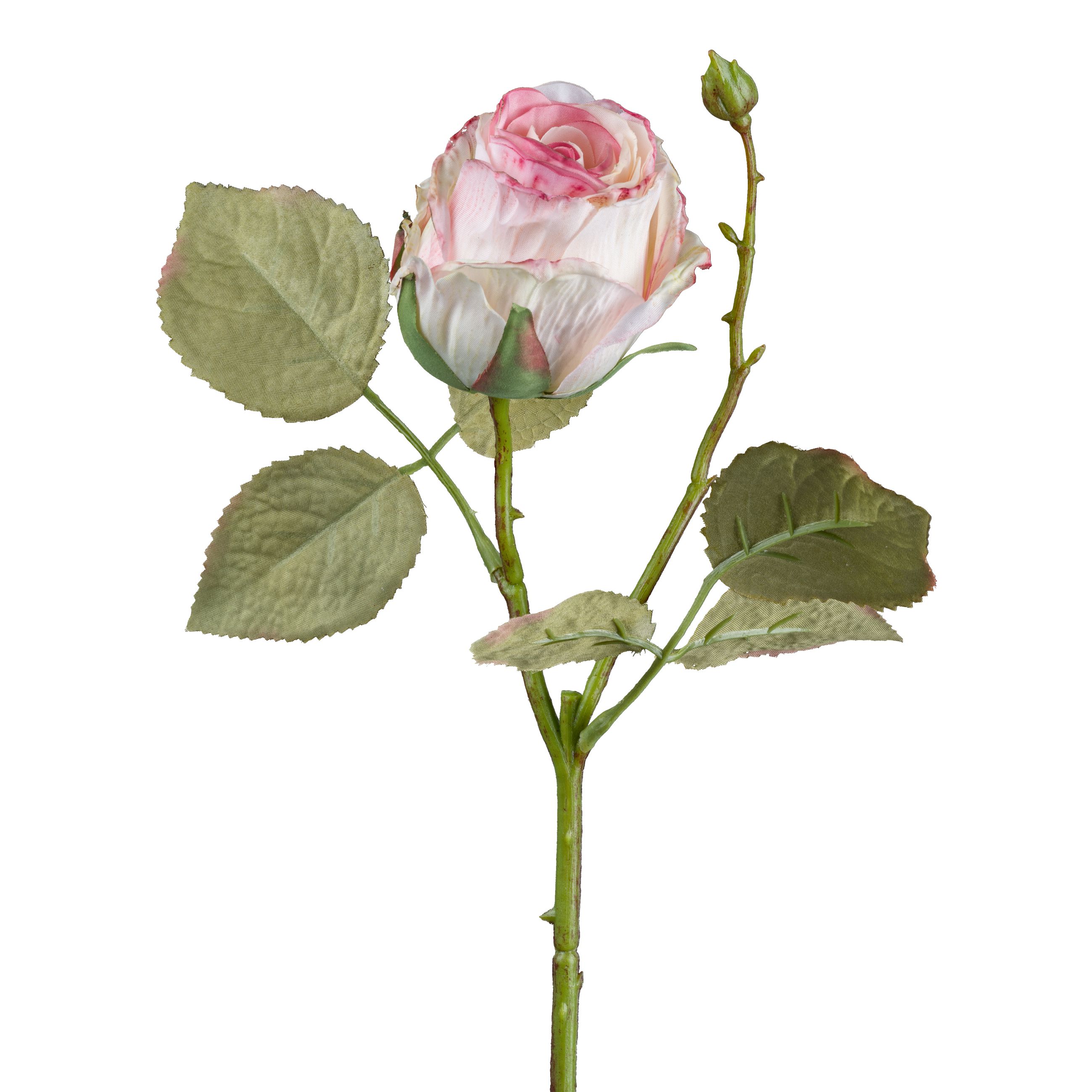 Rose décorative VINTAGE ROSE